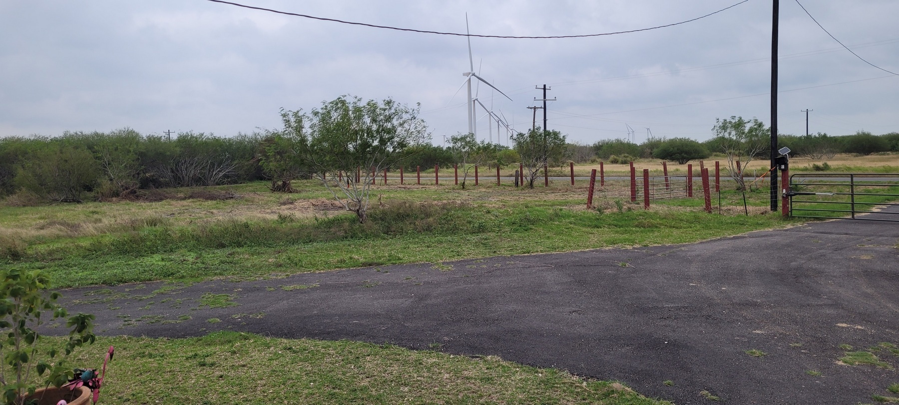 Bayview Citrus Grove property photo 10