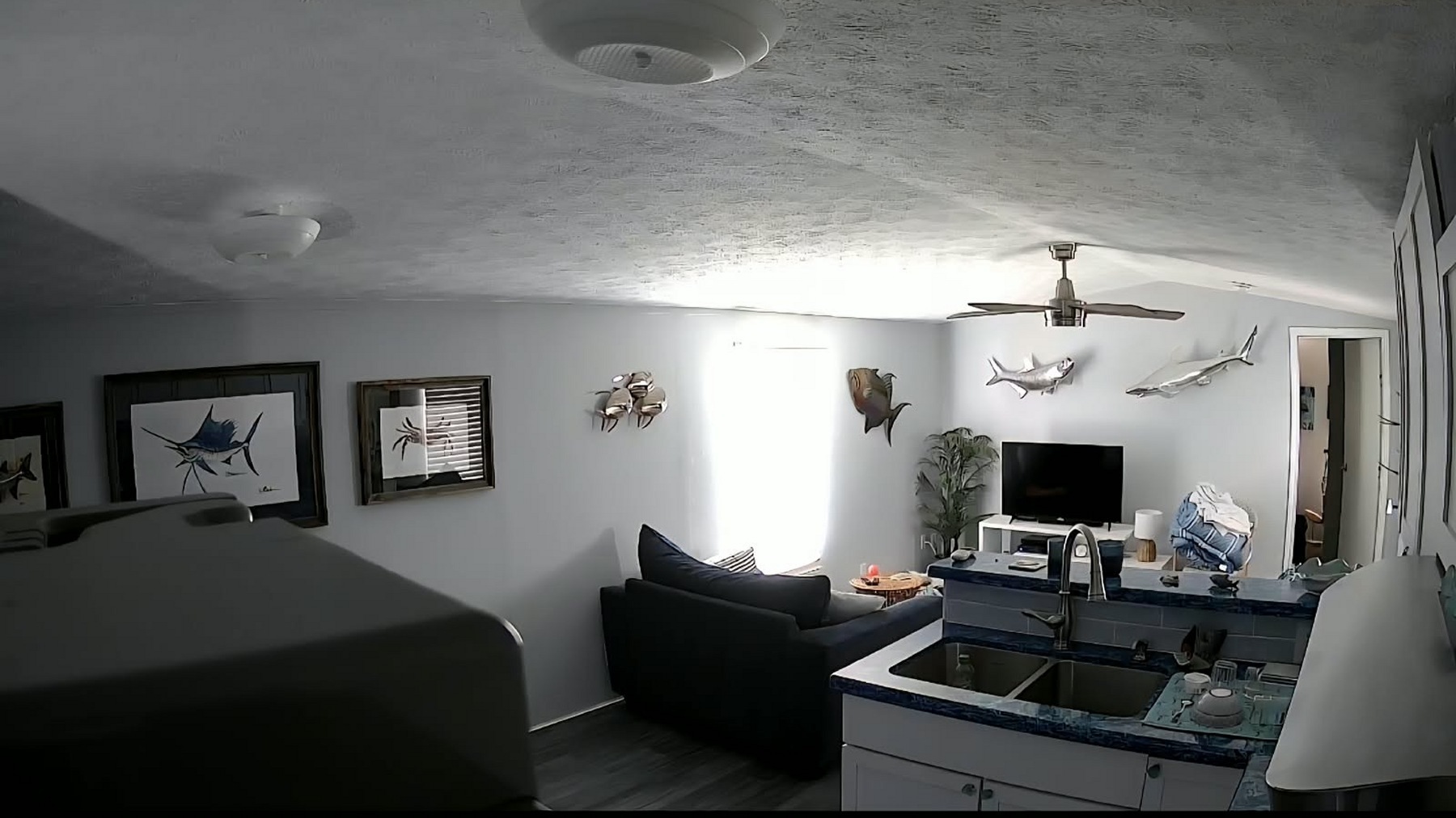 Bayview Citrus Grove property photo 28
