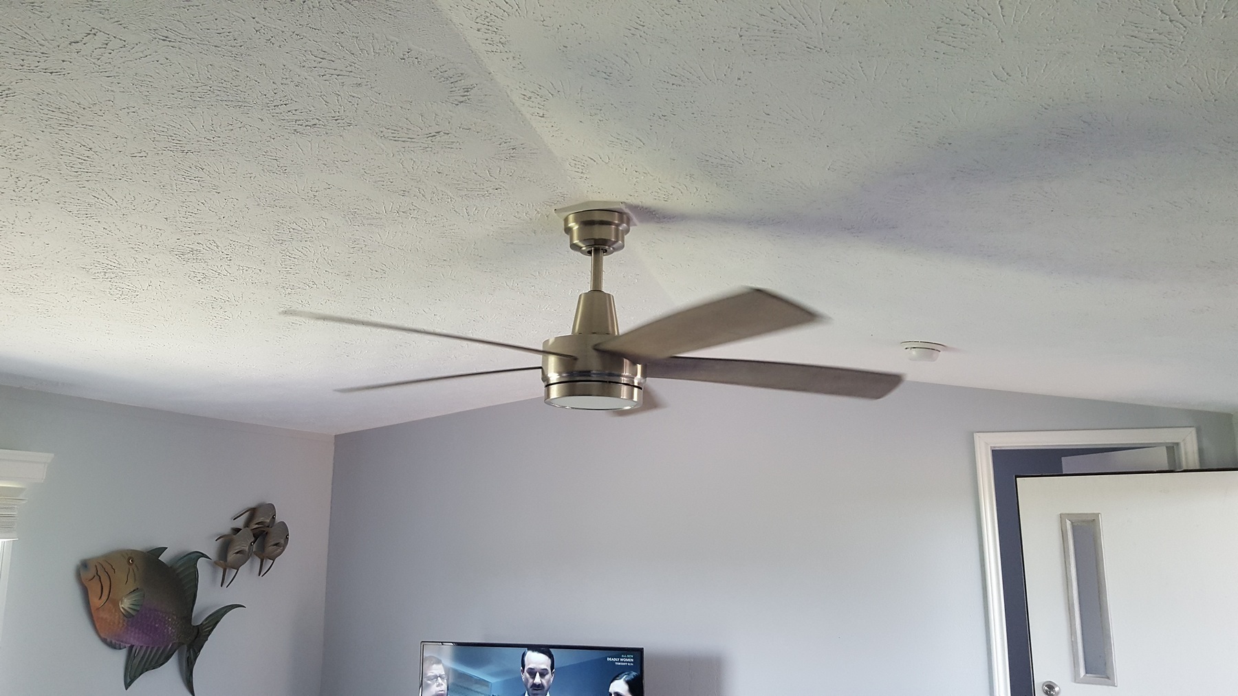 Bayview Citrus Grove property photo 30