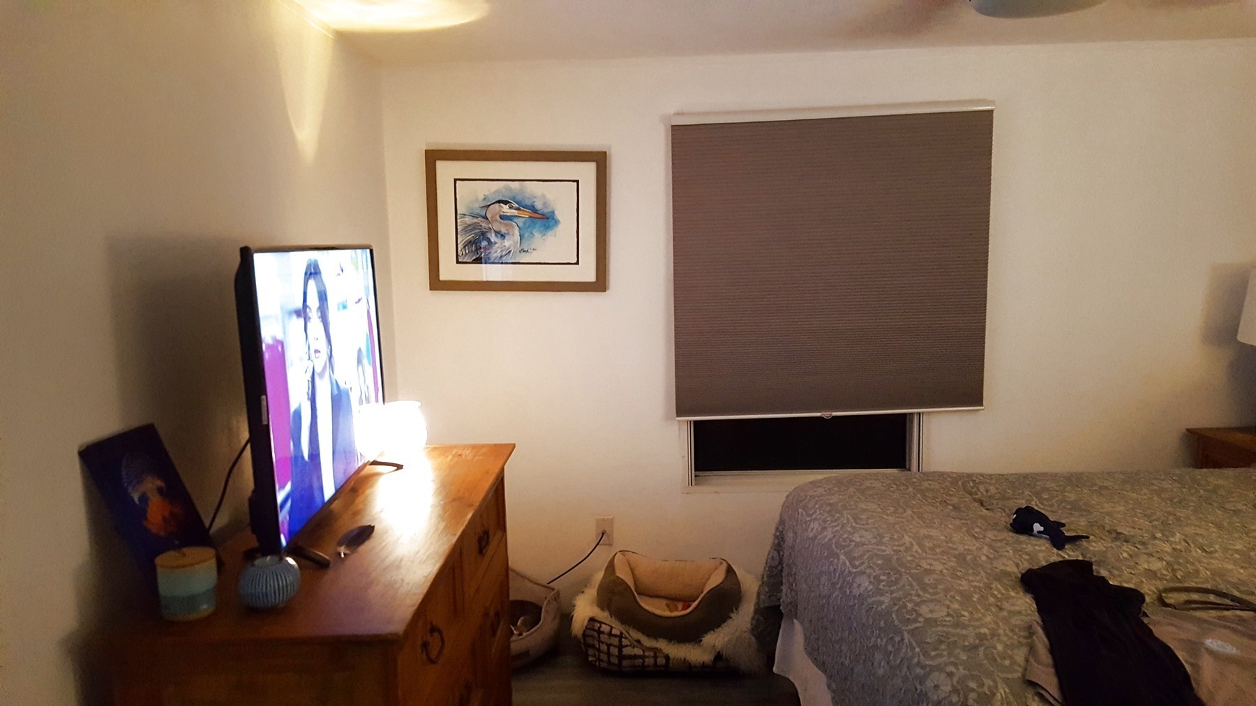 Bayview Citrus Grove property photo 42
